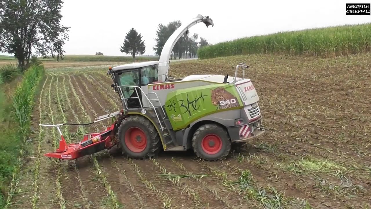 Jaguar im Regen - Maisernte mit LU Schwägerl - Claas Jaguar 940 mit 10-reihigem Kempervorsatz