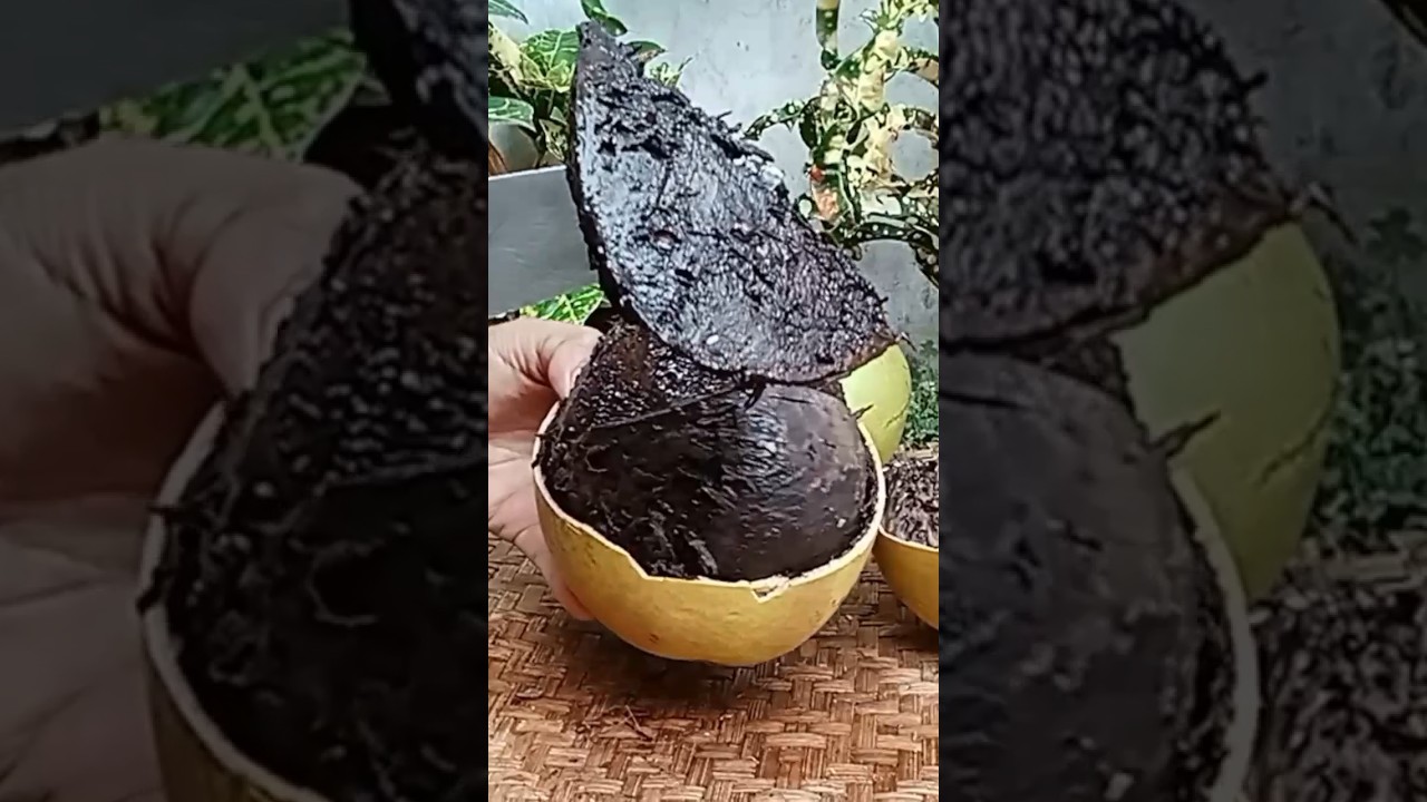 This calabash fruit or Indonesia mojo fruit #fruit#calabashfruit#calabash#coconut#food#cuttingskills