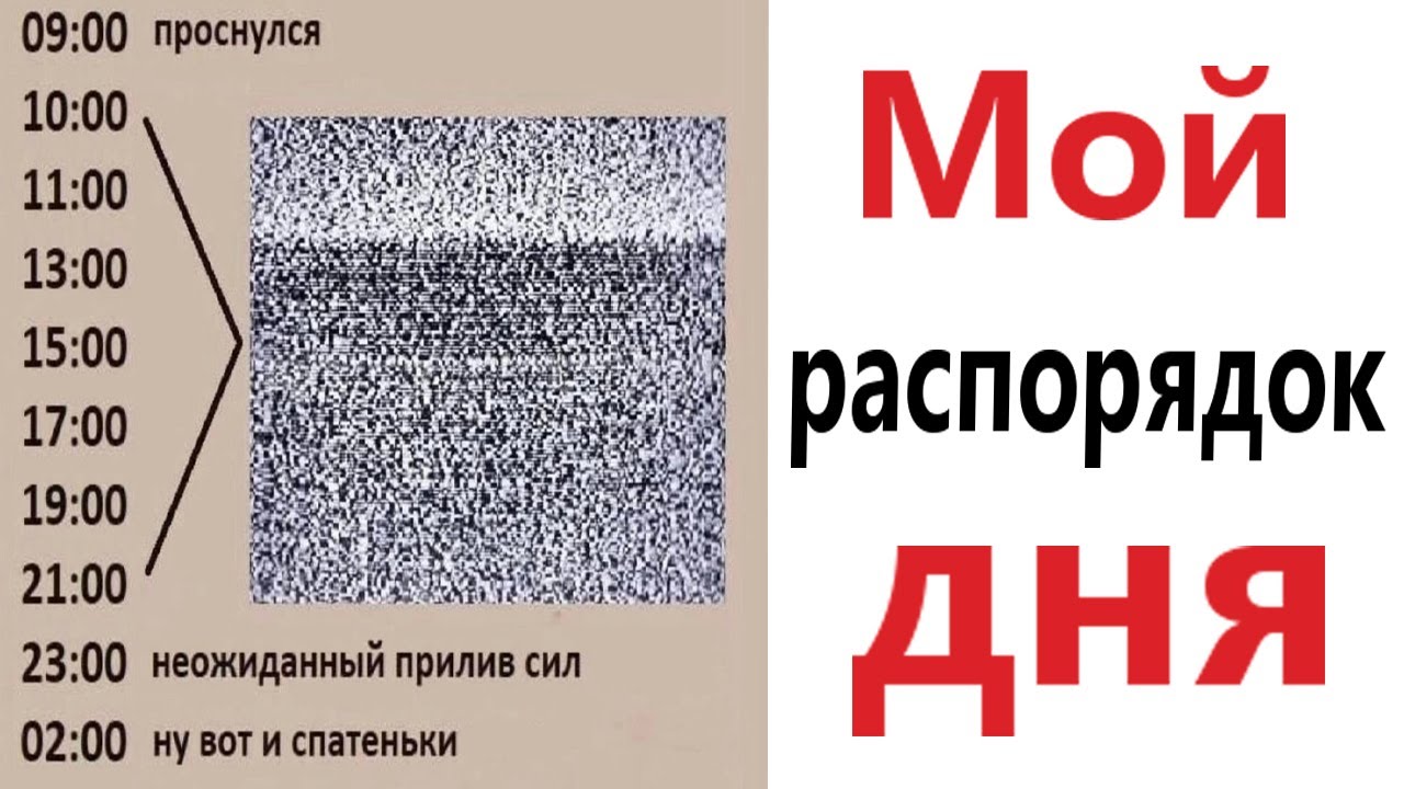 ПРИКОЛЫ! МОЙ РАСПОРЯДОК ДНЯ - МЕМЫ!!! Смешные видео &ndash; Доми шоу!