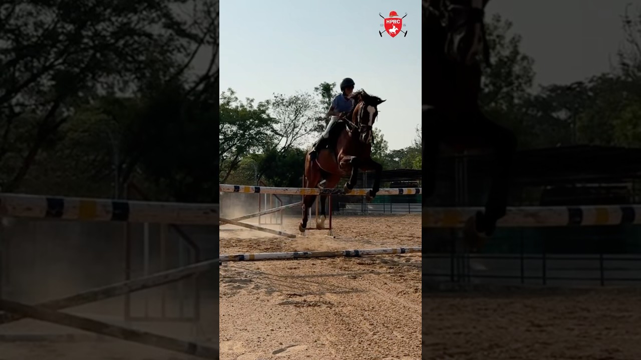 Horse riding Summer camp at the Hyderabad Polo & Riding Club