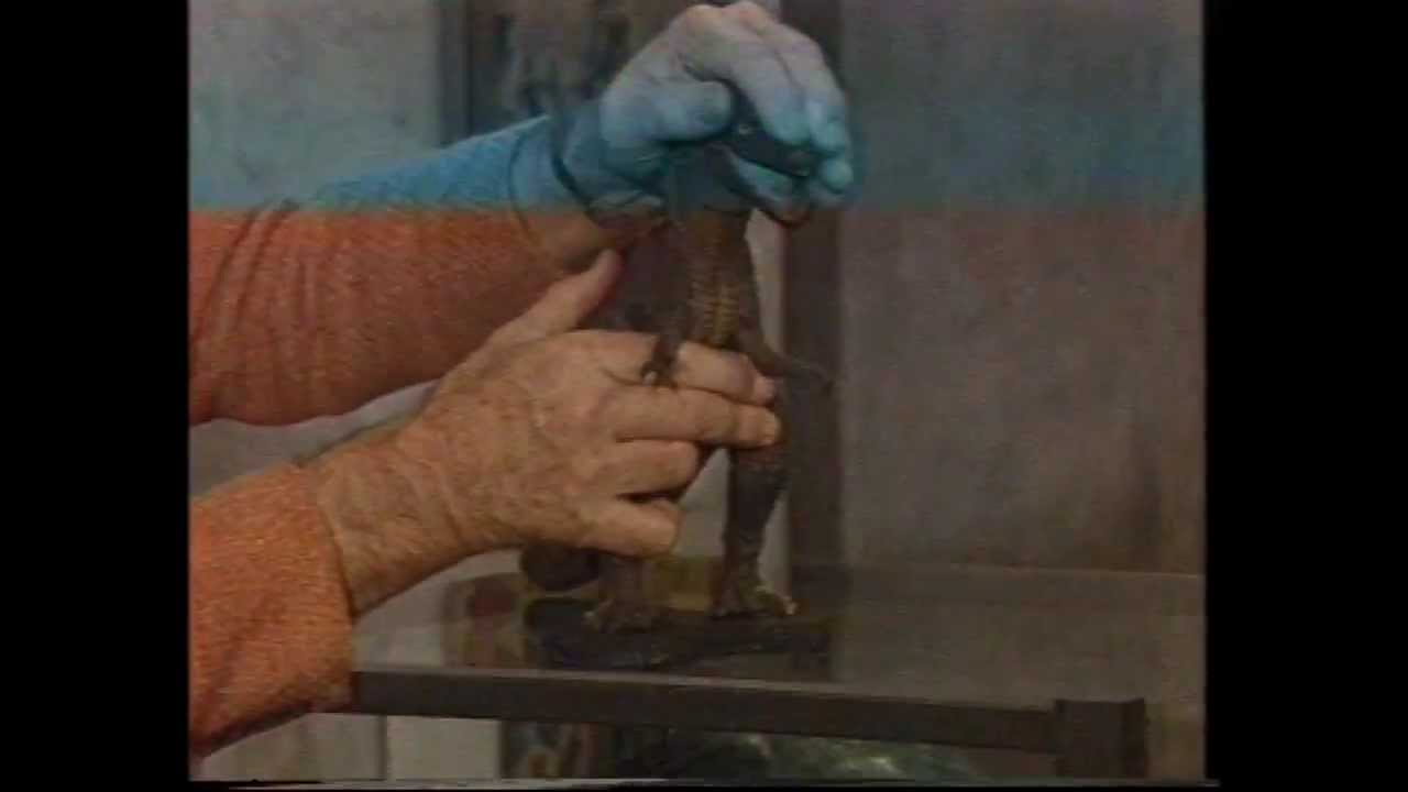 Ray Harryhausen - The Lost Video