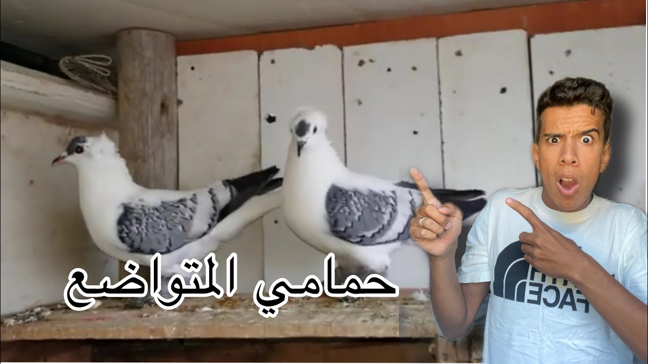 سجنتي و حمامي المتواضع