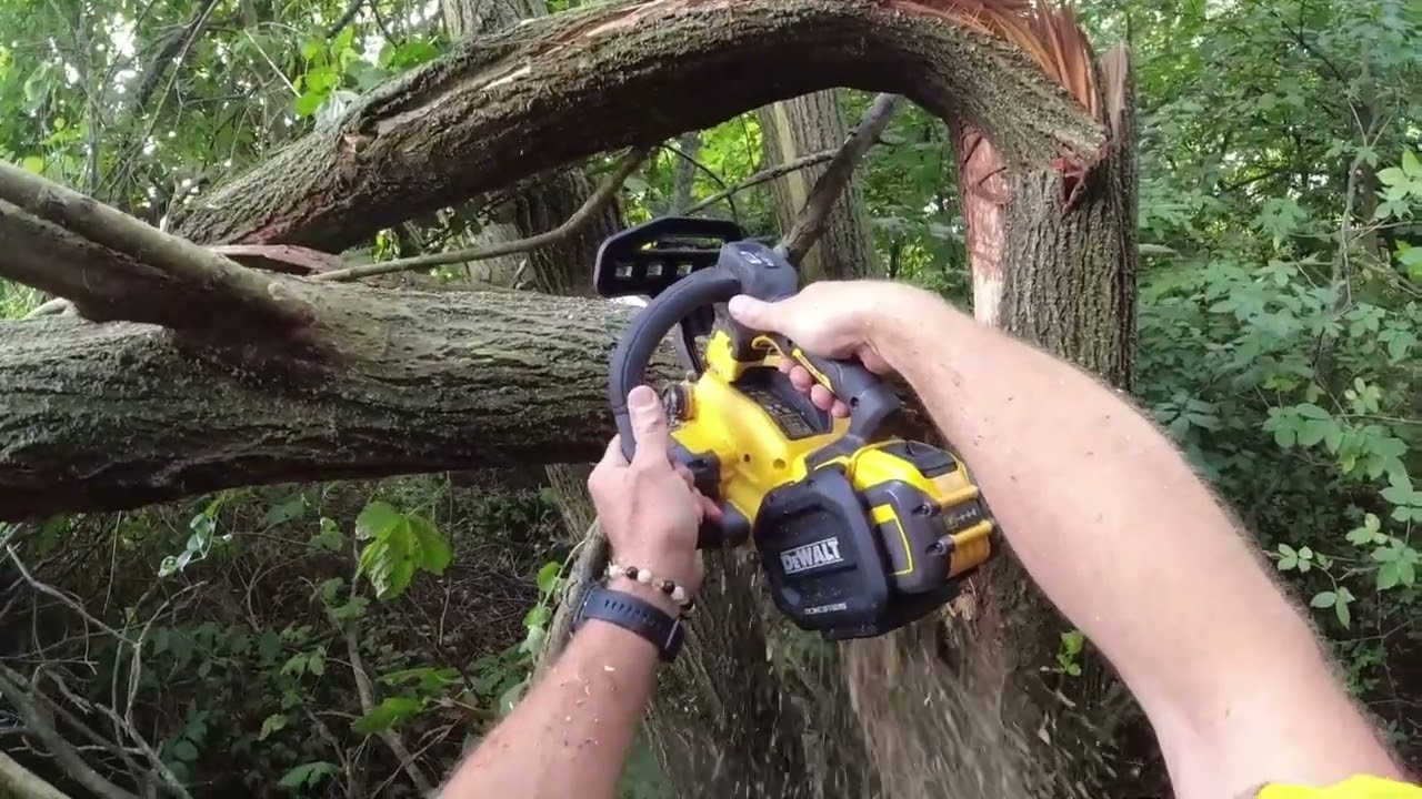 POV: Sawing a tree with new 🇺🇸DeWALT DCMCST635N