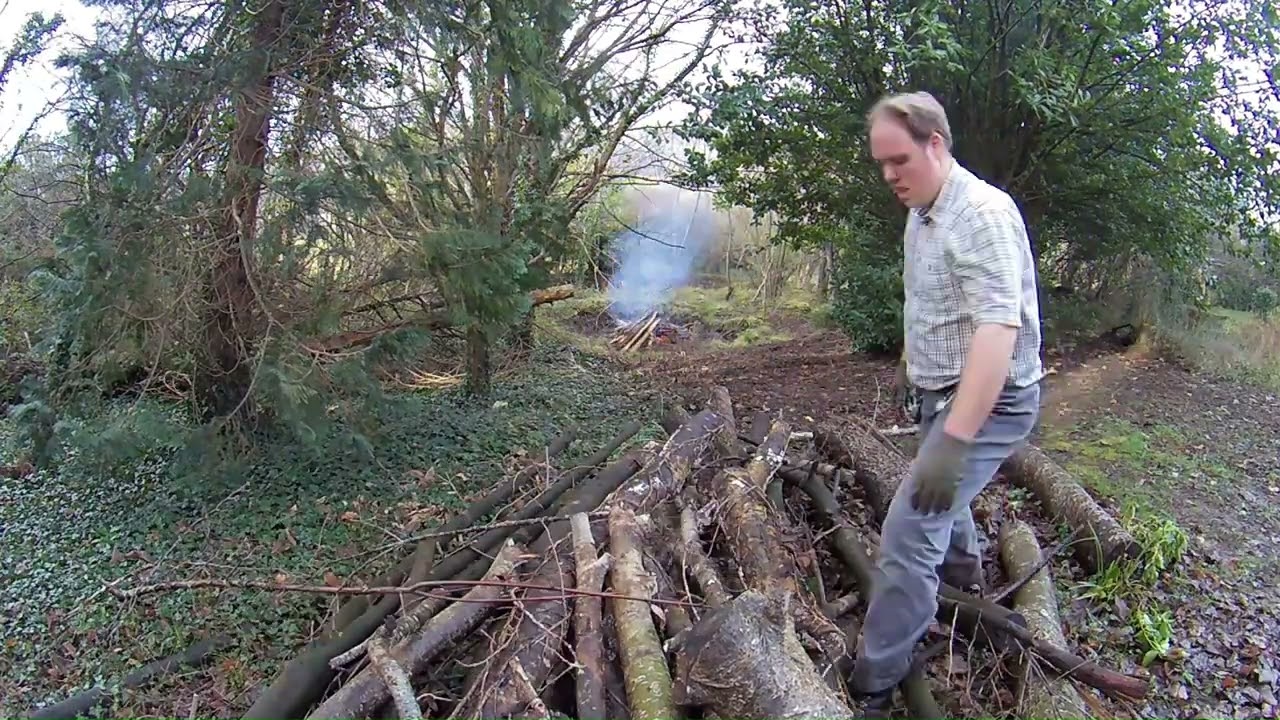 Big clear up of logs at Conwy Water Gardens