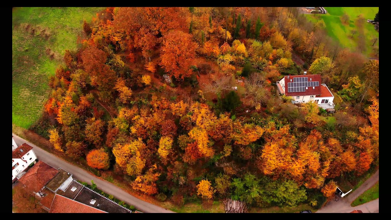 Fall colors in Germany