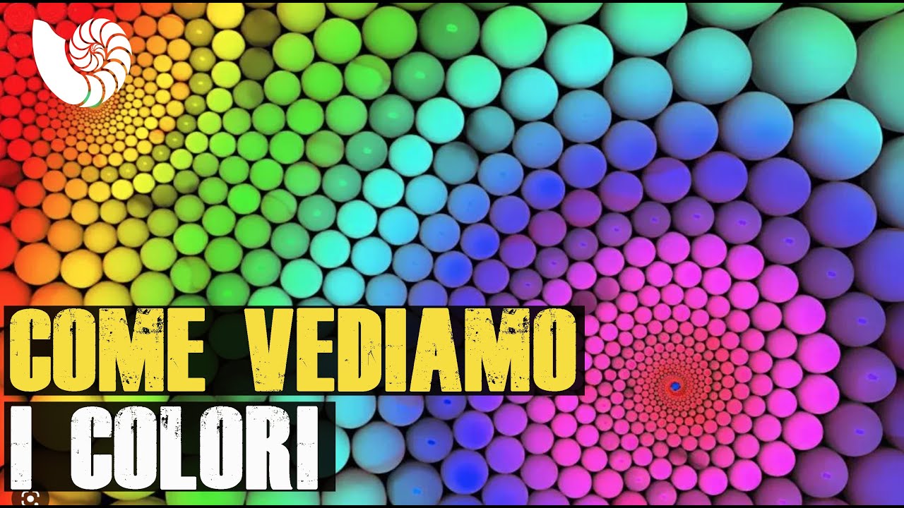 Come vediamo i colori