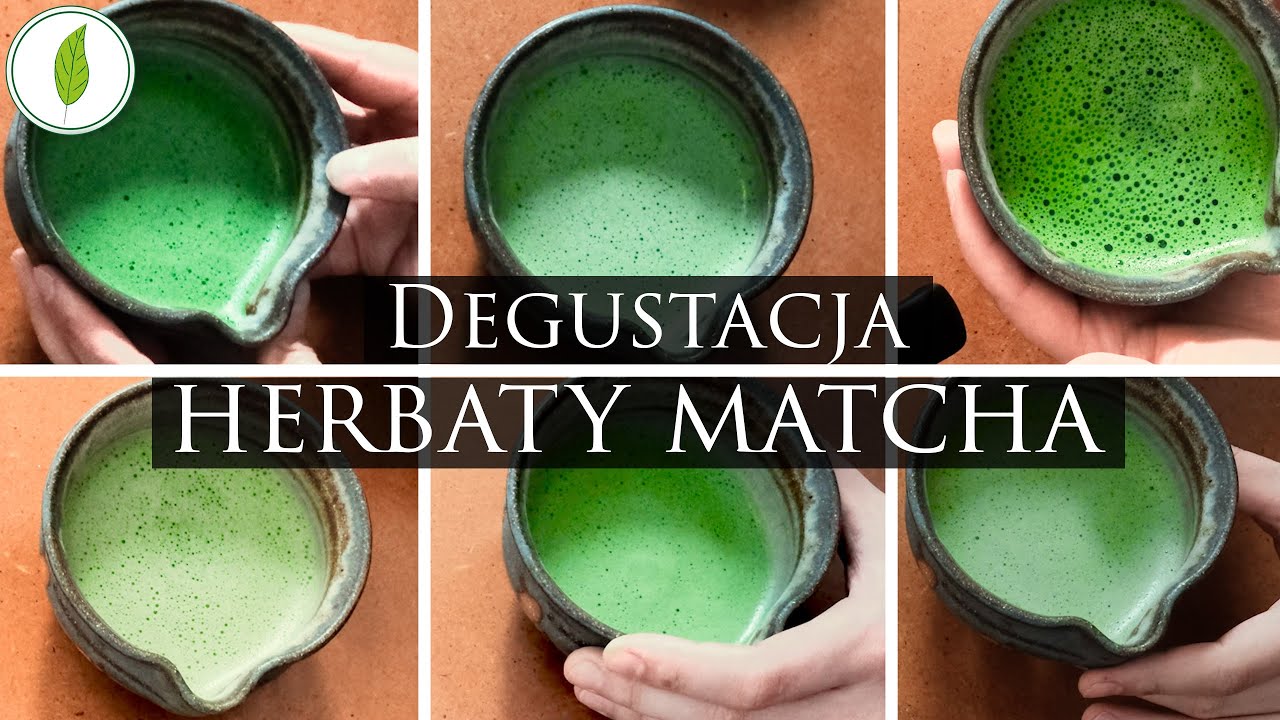 Czym się różnią od siebie najlepsze herbaty matcha? Degustacja