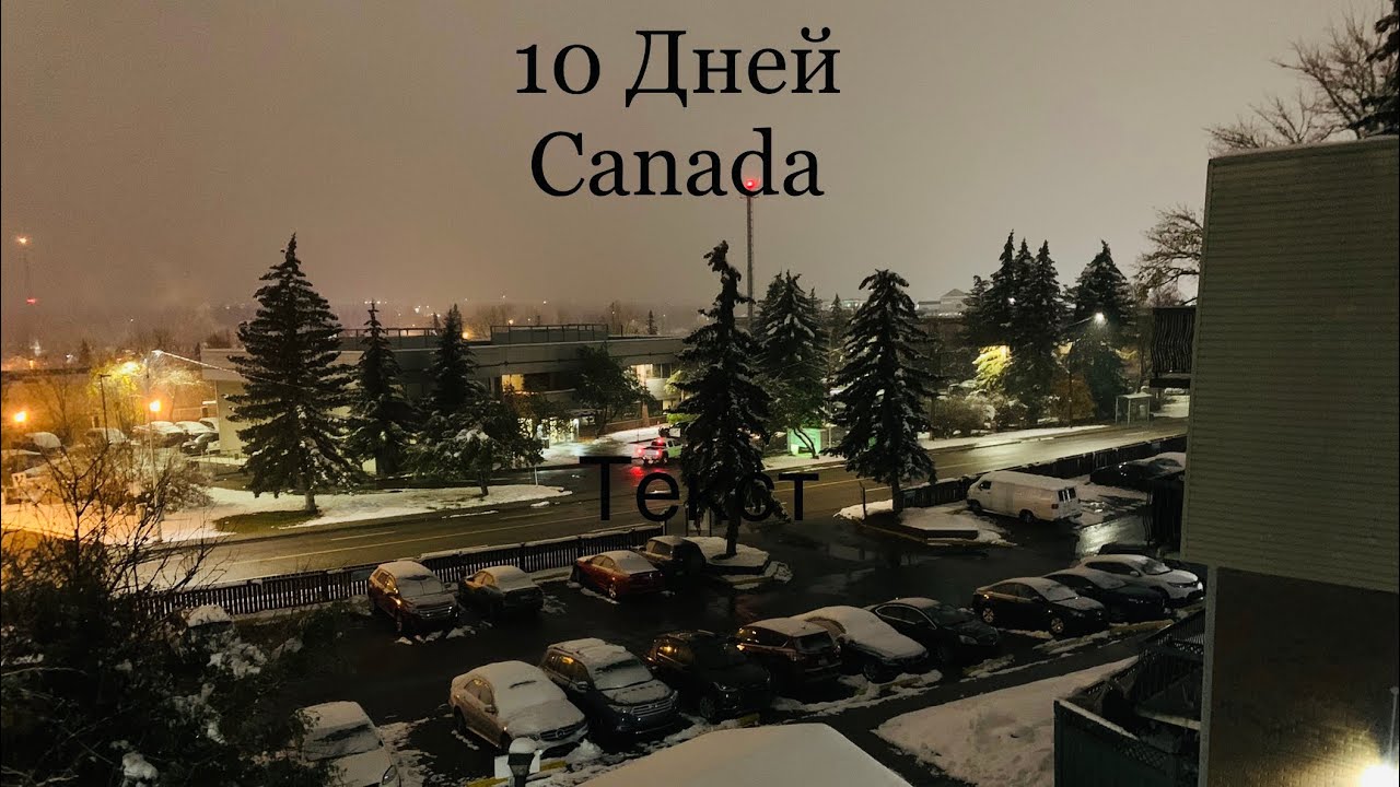 Новости .10 Дней в Канаде .#canada#calgary#жизнь с нуля .