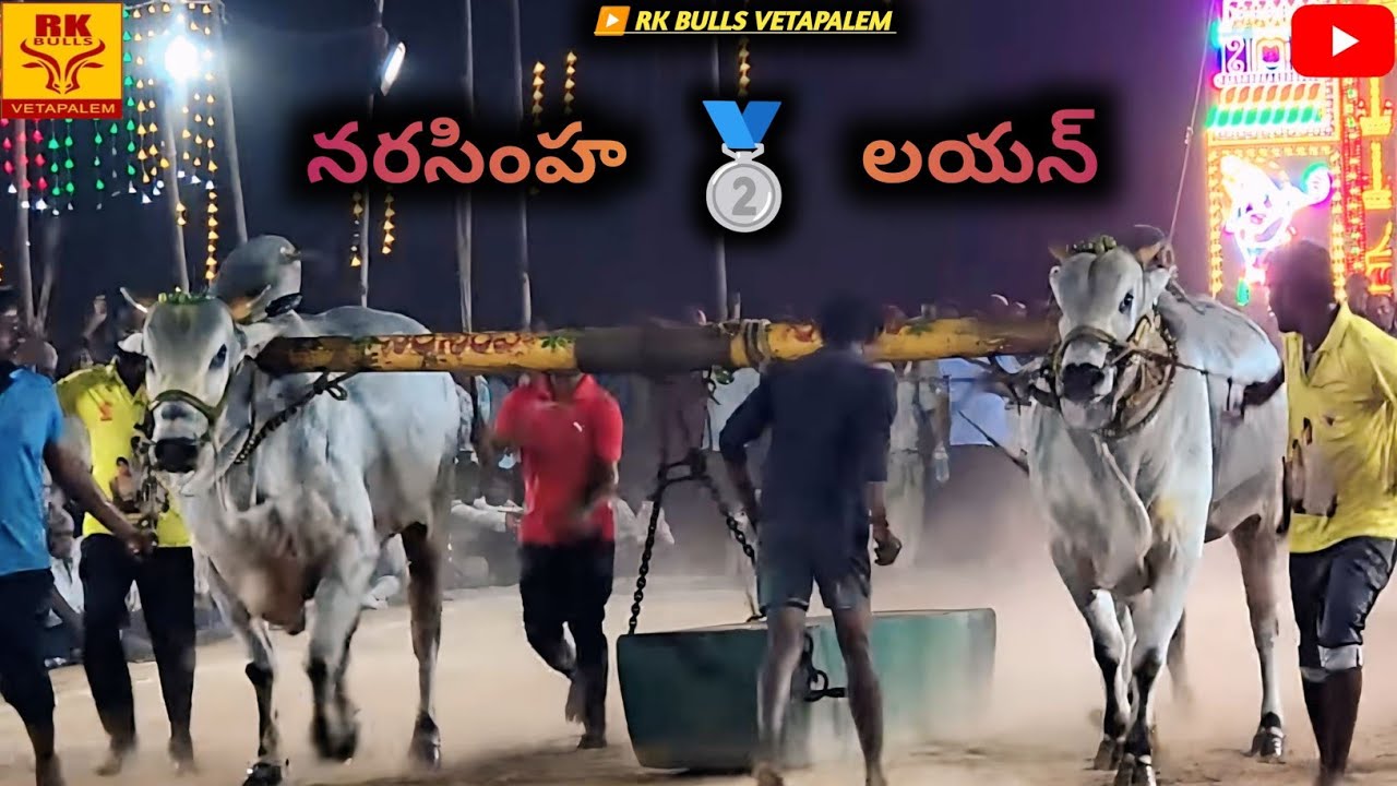 Narasimha and Lion won 2nd place in nadendla