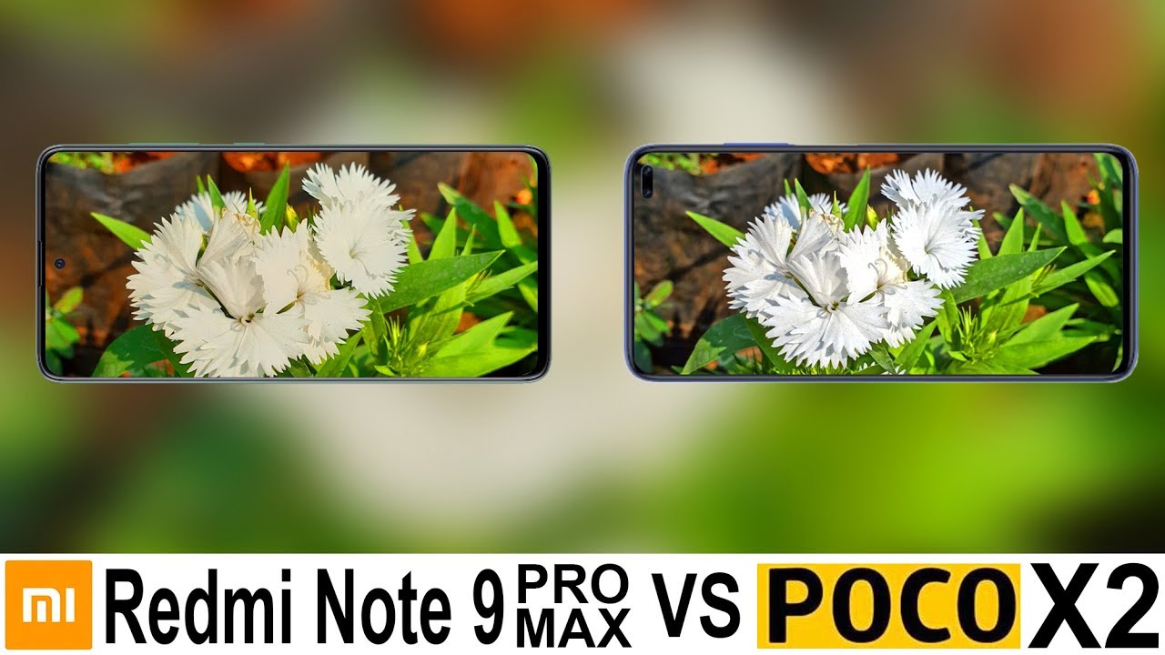 Redmi Note 9 Pro Max Vs Poco X2 Camera Test