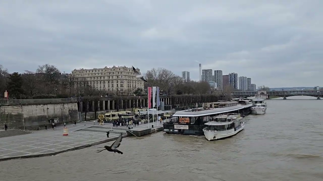 Peaceful white noise of la seine river paris 