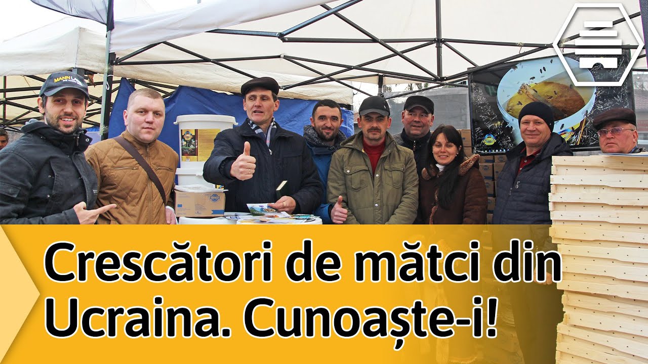 Crescători de mătci din Ucraina. Cunoaște-i!