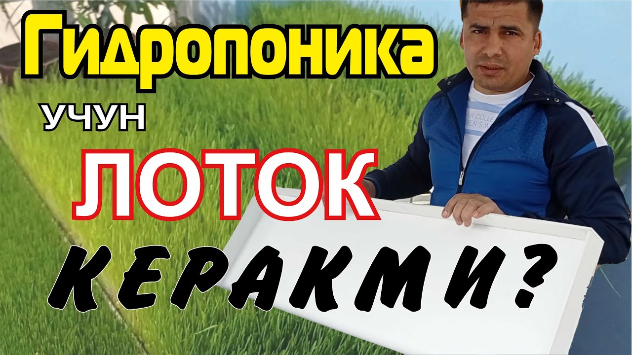 Гидропоника учун лоток! Тайёрлаш ёки заказ килиш мумкин!