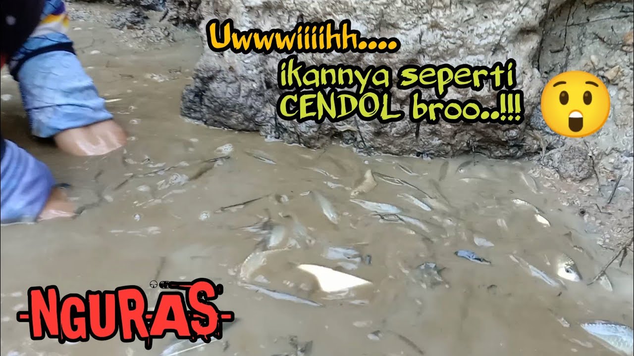 Senangnya luar biasa..!!! 
nguras parit ikannya seperti cendol