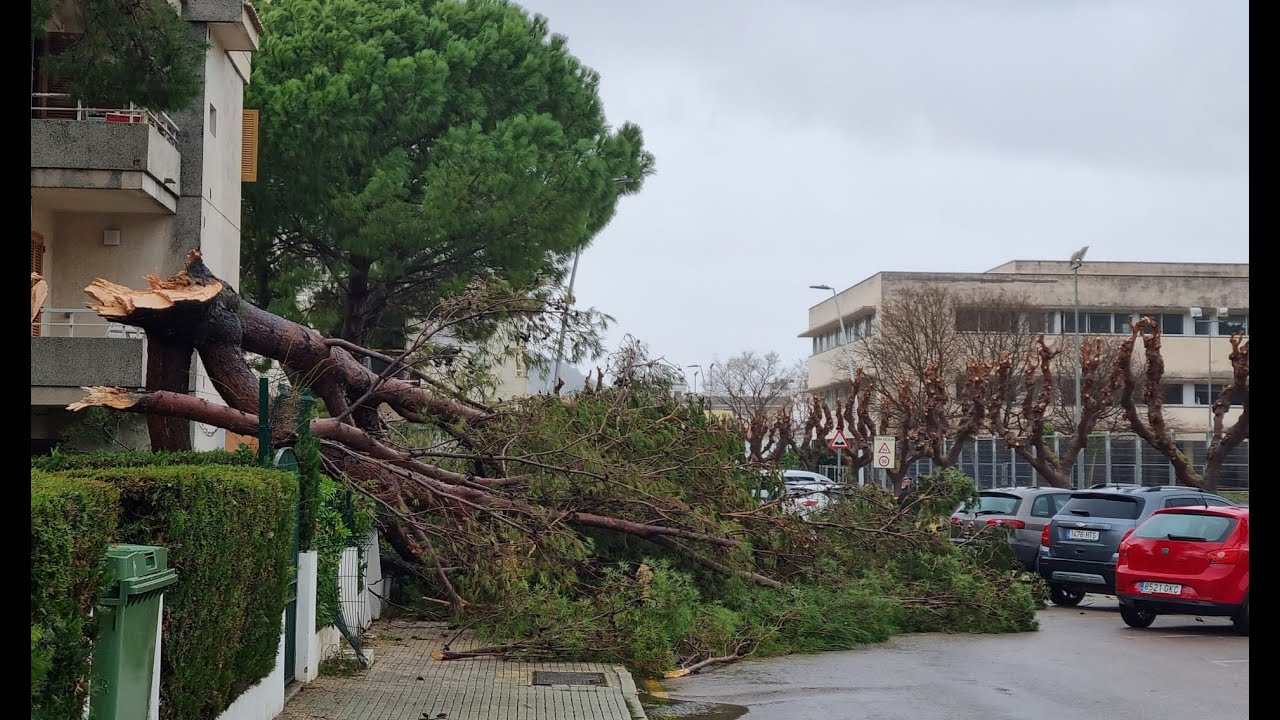 Nombrosos incidents causats al municipi durant el dia d’avui 28/02/2023