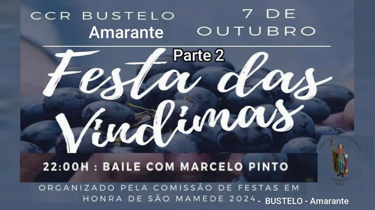 FESTA das VINDIMAS-BUSTELO-Parte 2-Amarante-7-Out-2023