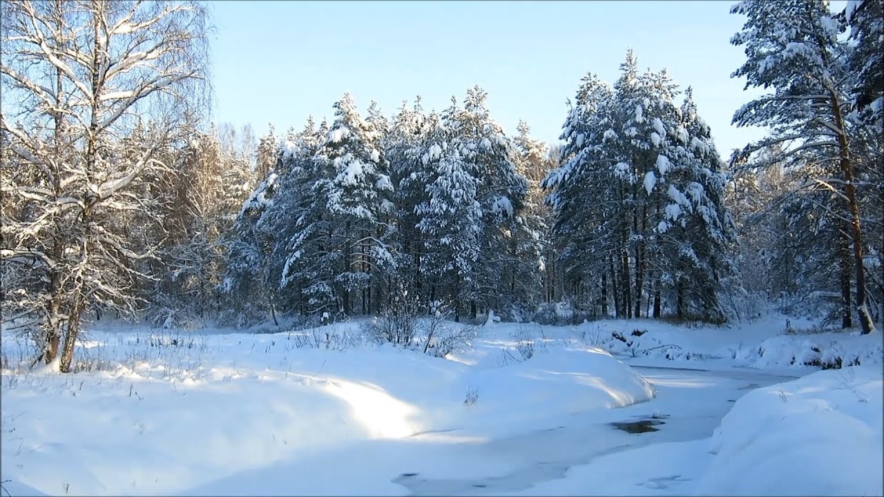 Поход в зимнюю сказку с ночёвкой на реке Нерской. 5-6 января 2019