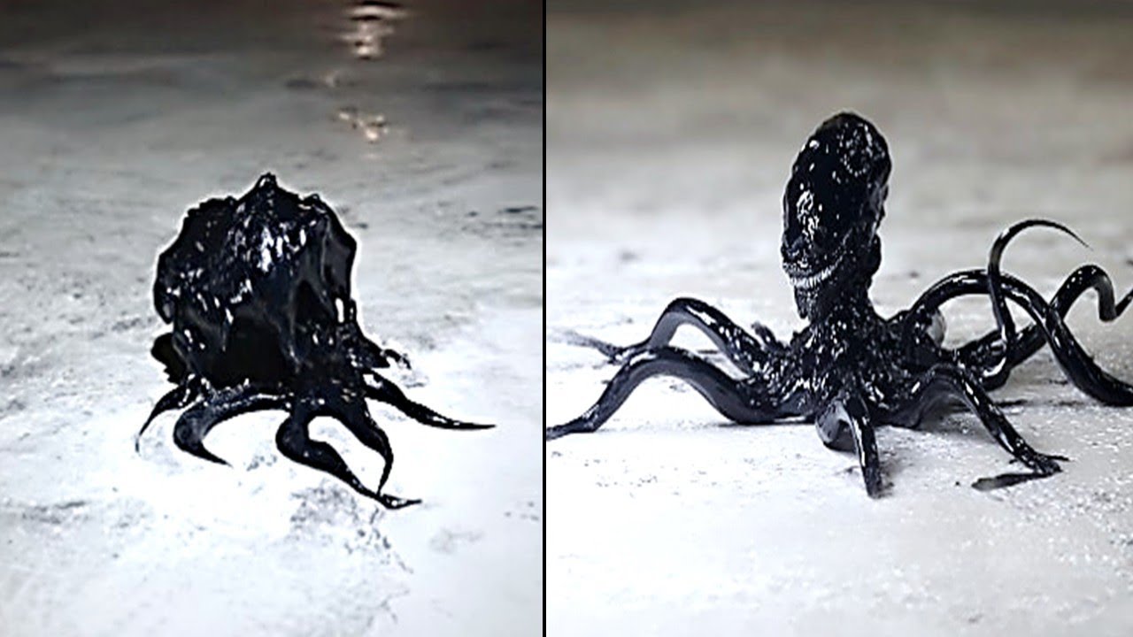 Man Gives Final Chilling Update On The Alien Entity He Found Inside A Crashed Meteorite In Panama