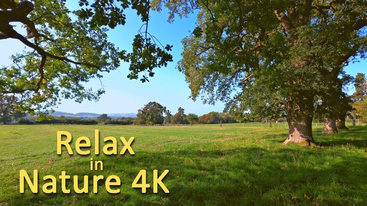 Oak Tree Meadow 4K  -  Relaxation, Calming, Sleeping with the Sounds of Nature - 1 Hour