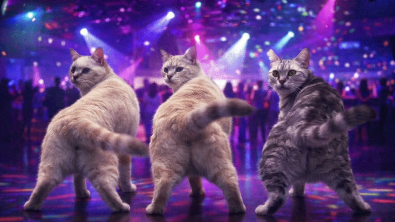 พี่รักทุกคน (พี้ช่อบชอบ) เพลงตื๊ดๆเบสหนักๆ