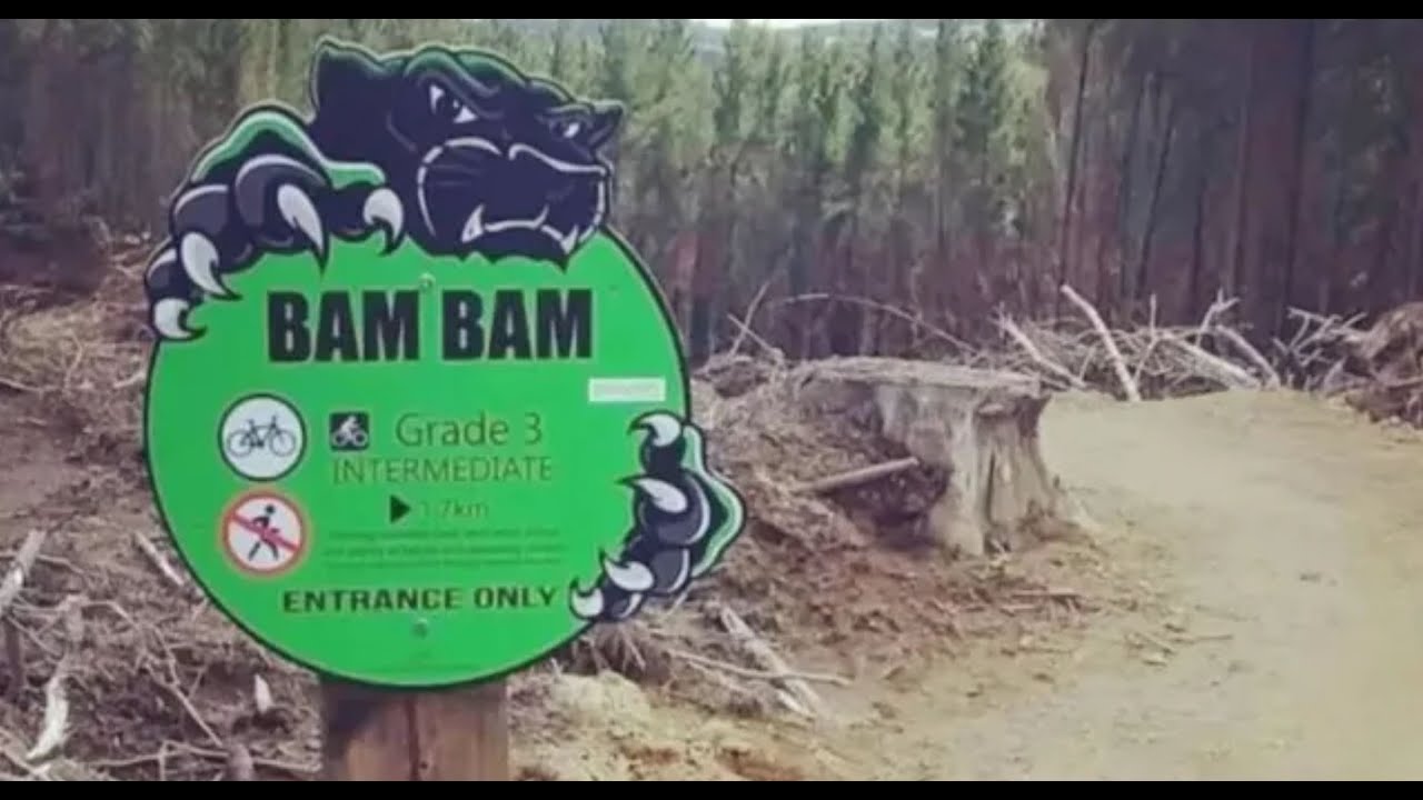 Bam Bam, Cougar Park - Grade 3, intermediate