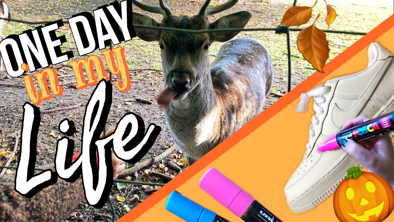 UNTERWEGS mit LANA! - Herbst VLOG | XXL Boesner, Rehe füttern, shoppen
