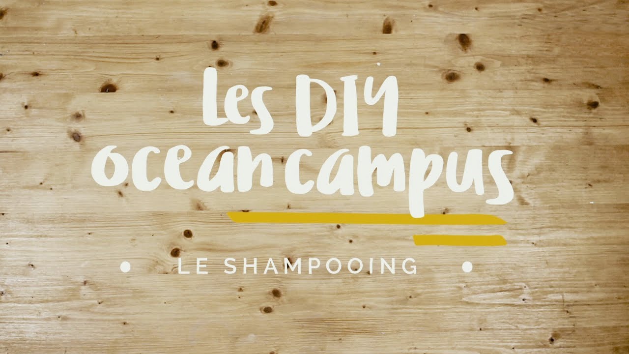 Les DIY Ocean Campus - Comment faire son shampoing maison ? - Surfrider Foundation Europe