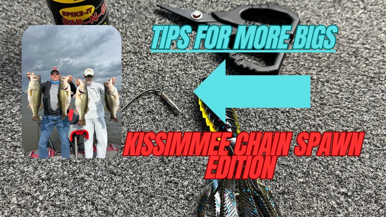 Kissimmee Chain Spawn | СОВЕТЫ ДЛЯ ЛОВЛИ БАССА |