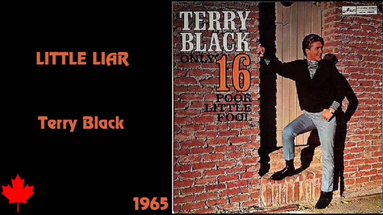Terry Black - Little Liar