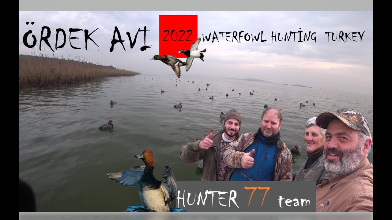 ÖRDEK AVI , 2022 ,WATERFOWL HUNTİNG TURKEY, SHOTKAM ,ΚΥΚΛΟΦΟΡΙΑ , شکار اردک , BROWNİNG MAXUS ,HUNTER