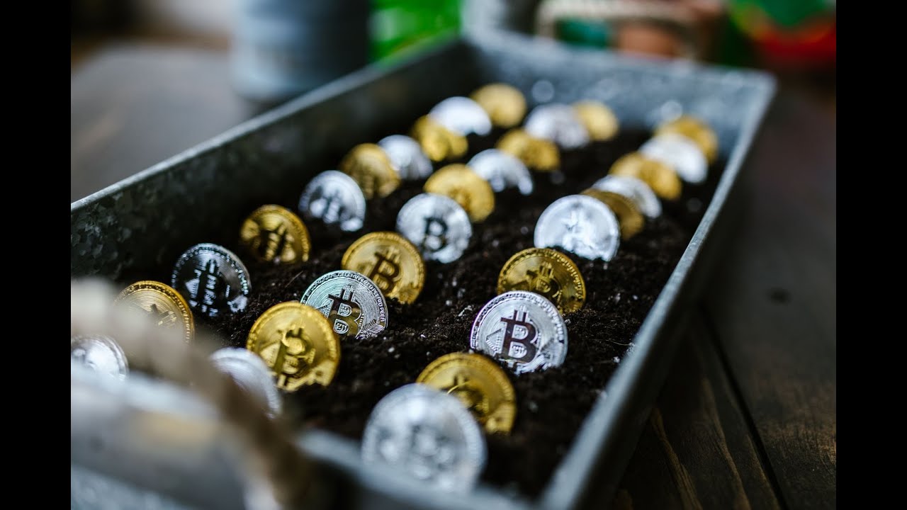 #13 Why to get into Crypto & NFT's - Anthony Fatseas