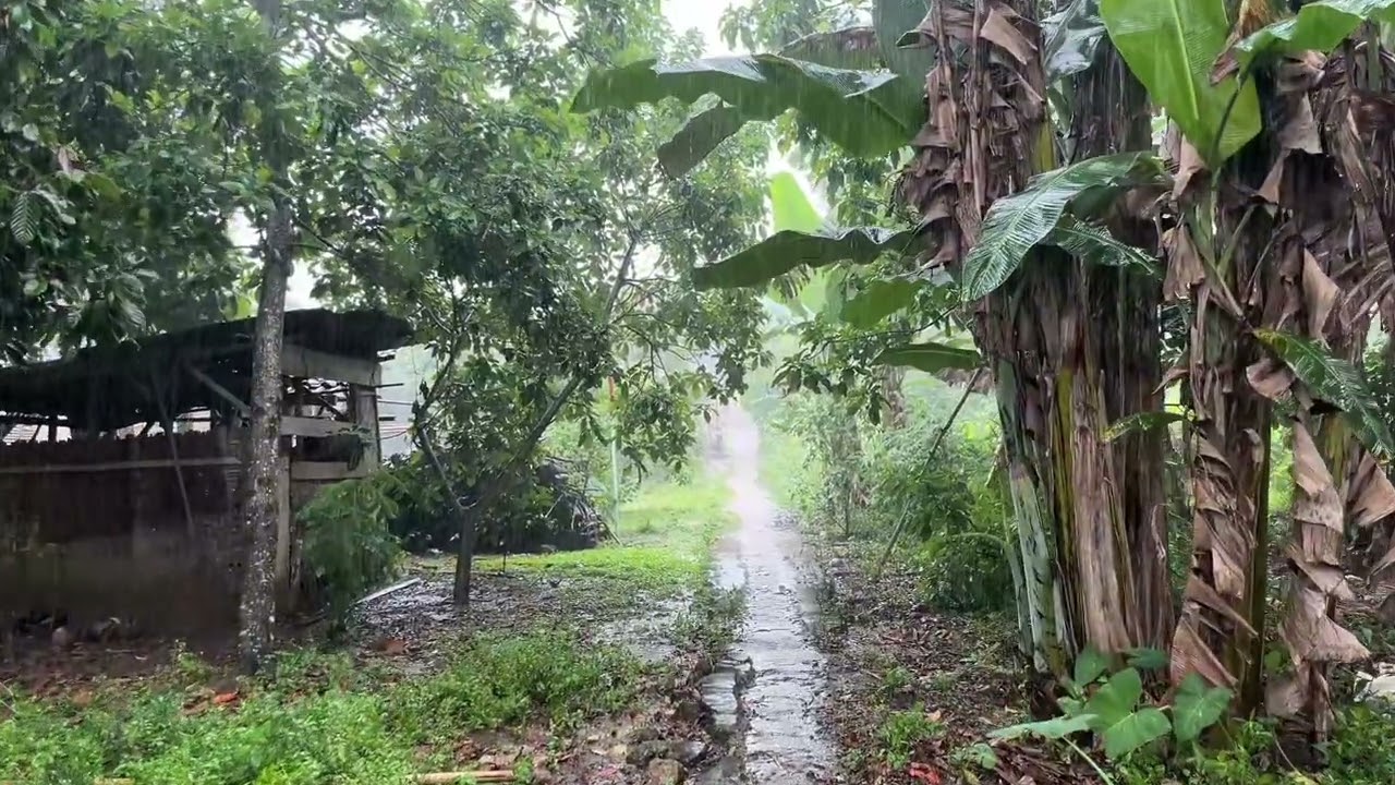 🌧️ “Heavy Rain for Deep Sleep • Beat Insomnia Fast”