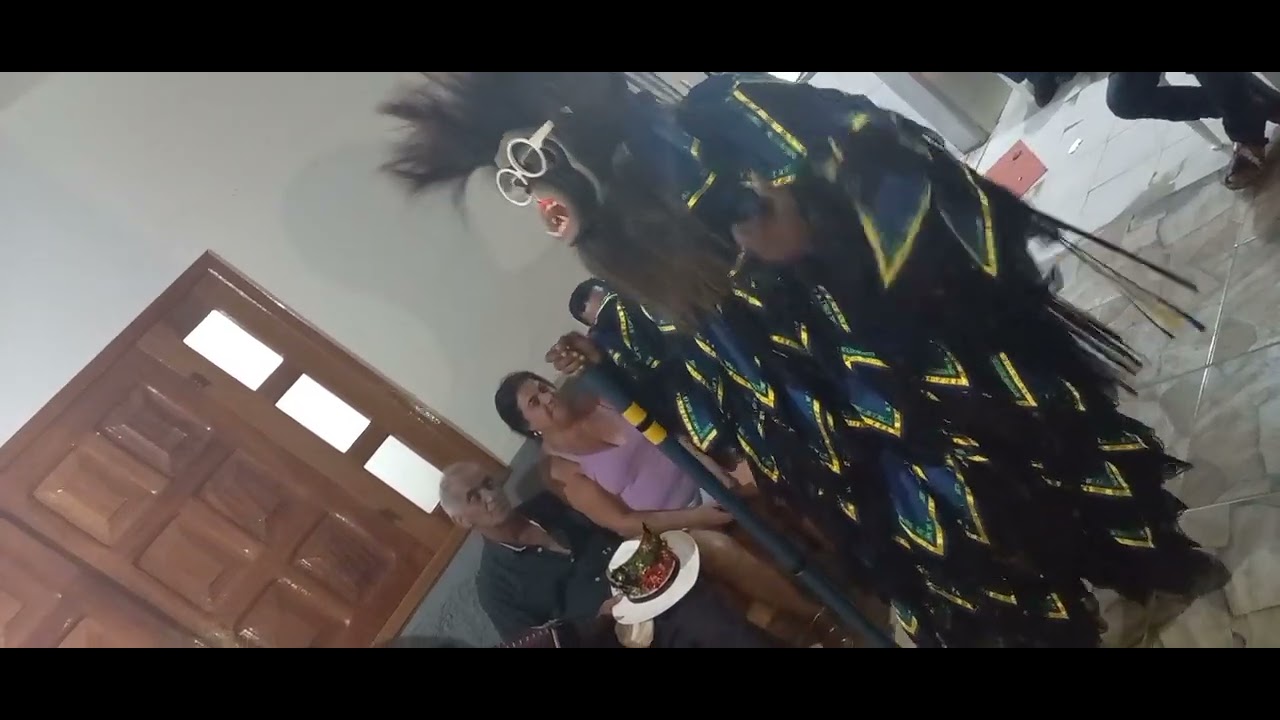 Folia de reis Brasil 🇧🇷( pinguim de miracema) em Minas