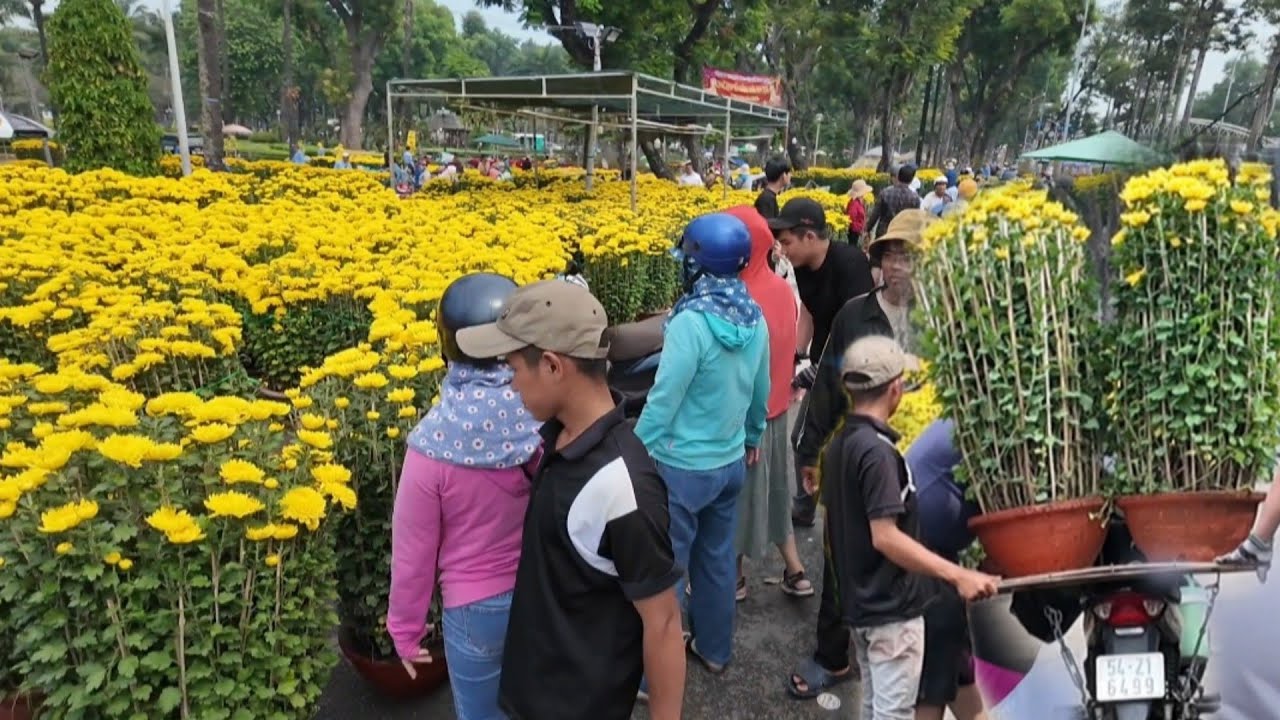 26 Tết bà con chen chúc nhau mua mai, cúc giả rẻ 200k 300k, 400k tại công viên Gia Định