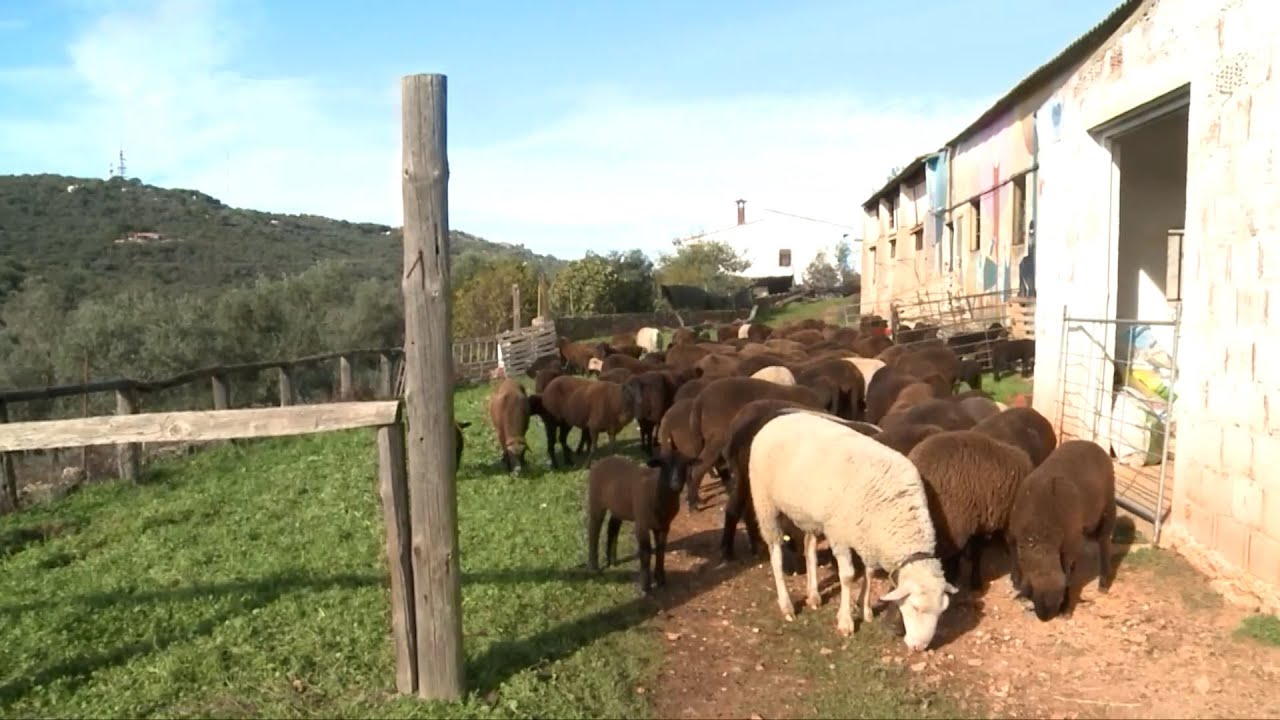 La nueva Política Agraria Común (PAC) genera discrepancias en el sector agrícola