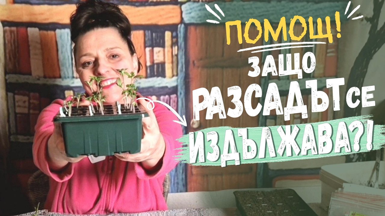 Защо разсадът се издължава и как да го спасим – светлина, температура и сортови разлики