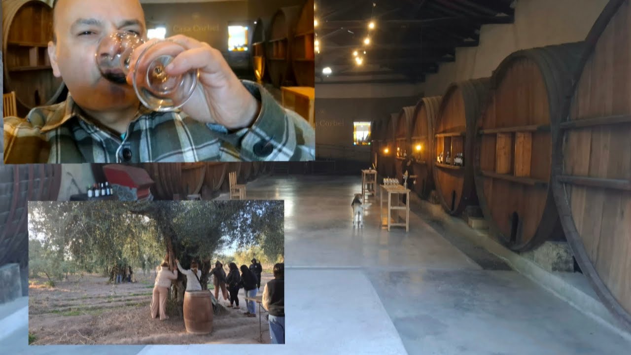Mendoza Argentina 2025 bodega el sillon 