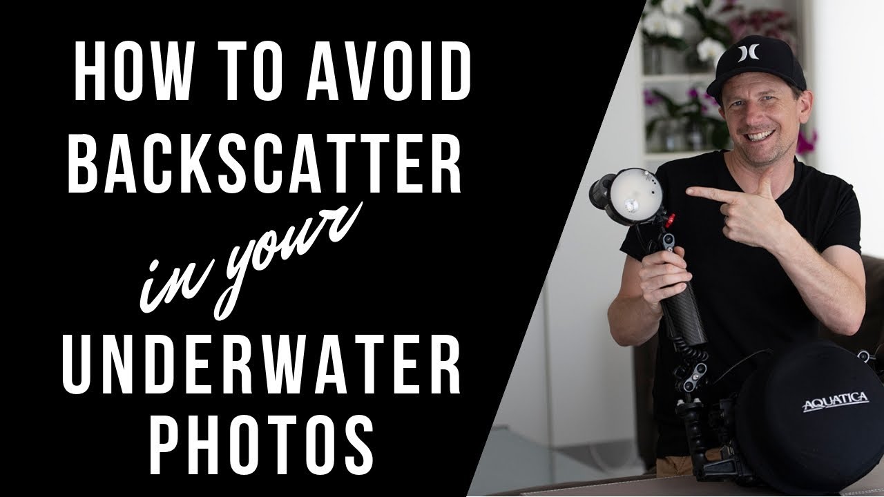 How to avoid BACKSCATTER underwater | EP:1 Wide Angle