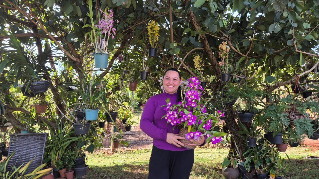 Fiquei 10 Meses sem Cuidar das minhas Orquídeas e Olha o que Aconteceu