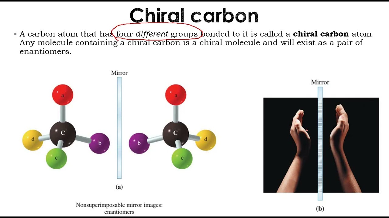 L1- Carbohydrates