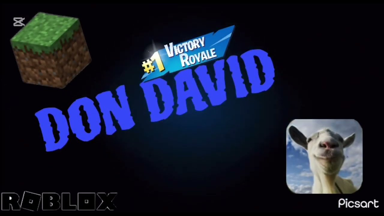 Mi Primer Video