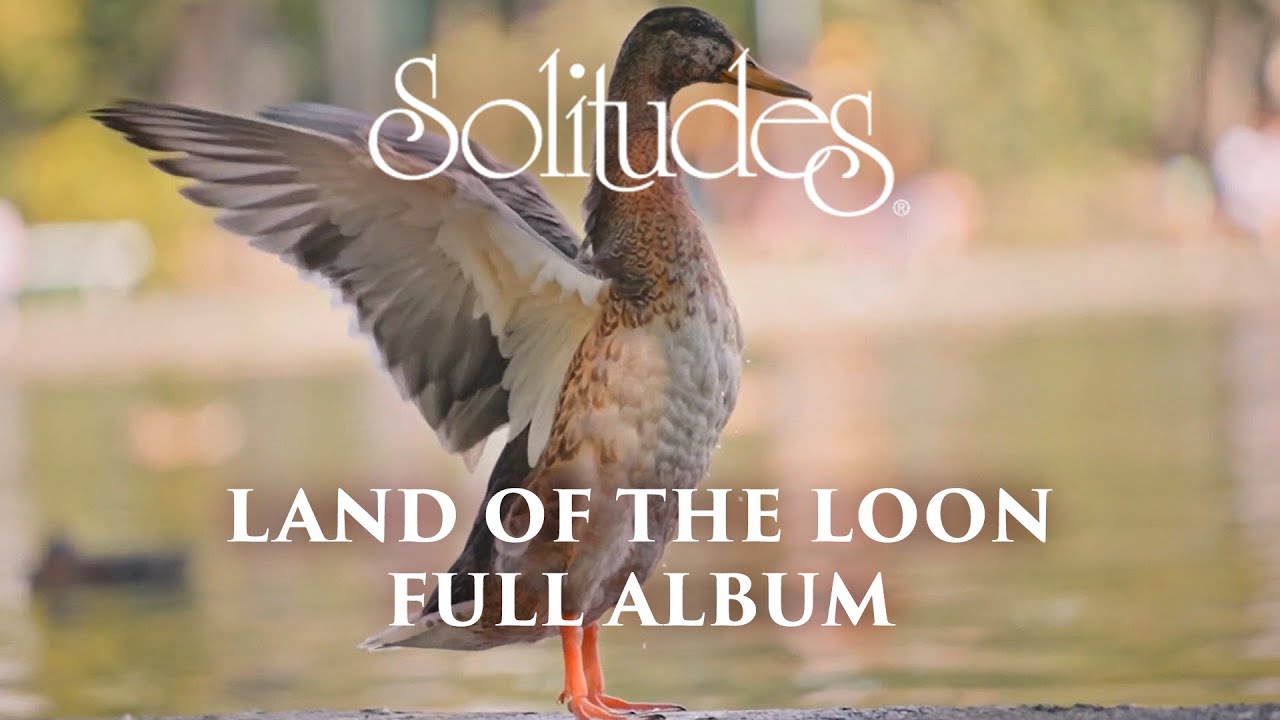 1 hour of Relaxing Music: Dan Gibson’s Solitudes - Land of the Loon (Full Album)