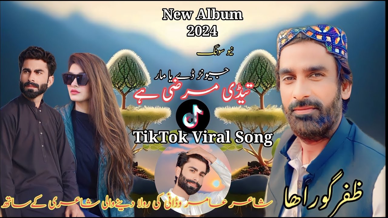 New Saraiki Punjabi TikTok Viral Song Jewanr day ya Mar Tedi Marzi hay Singer Zafar Guraha 2024
