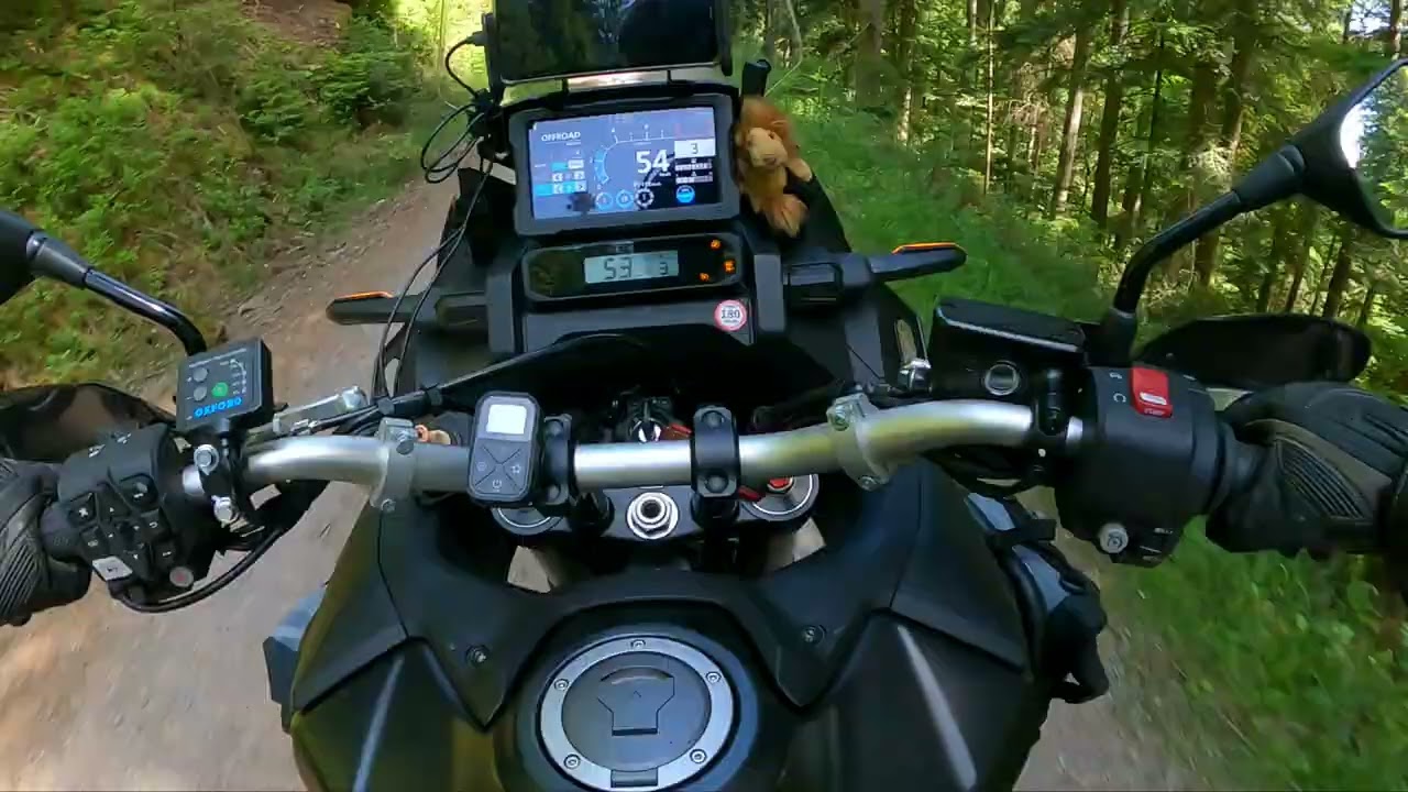 Honda Africa Twin Crf 1100 / Offroad Ride / RAW Sound / Black Forrest #offroad #motocycle #trail