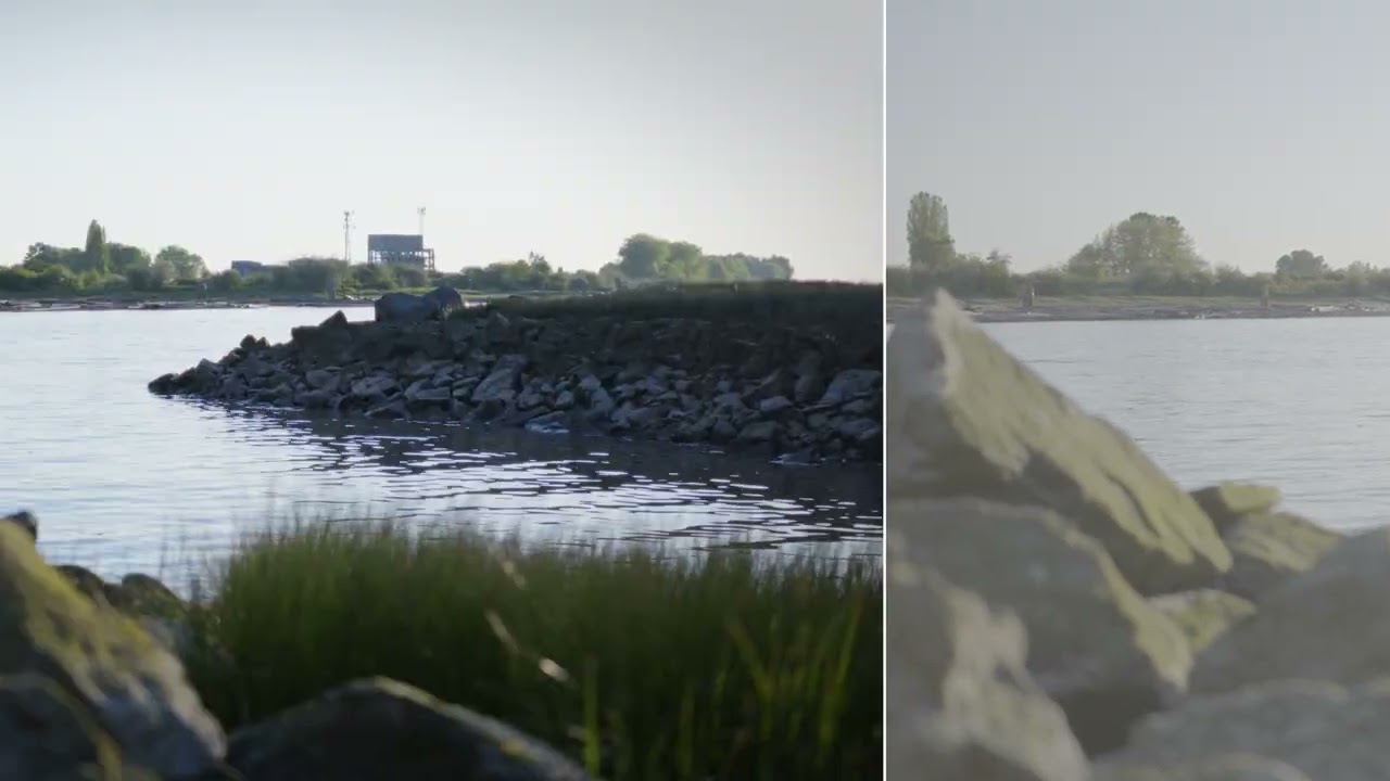 Panasonic Lumix S5 Davinci Resolve Color Graded