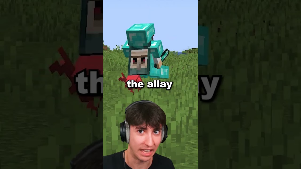 Never Give This Item to an Allay