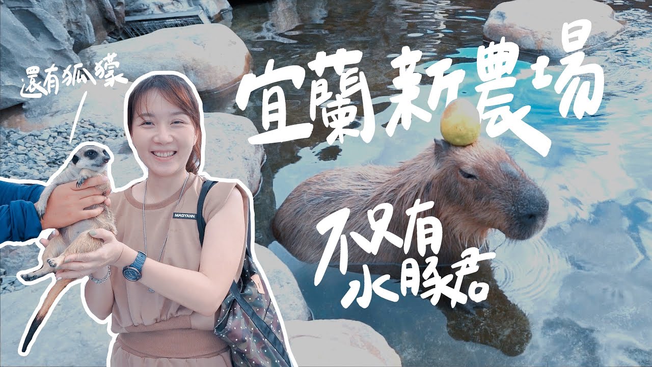 新開幕！宜蘭三星親子動物農場，不只有水豚君、梅花鹿，我們居然還抱了狐獴－鹿爺爺【IM!艾倫】