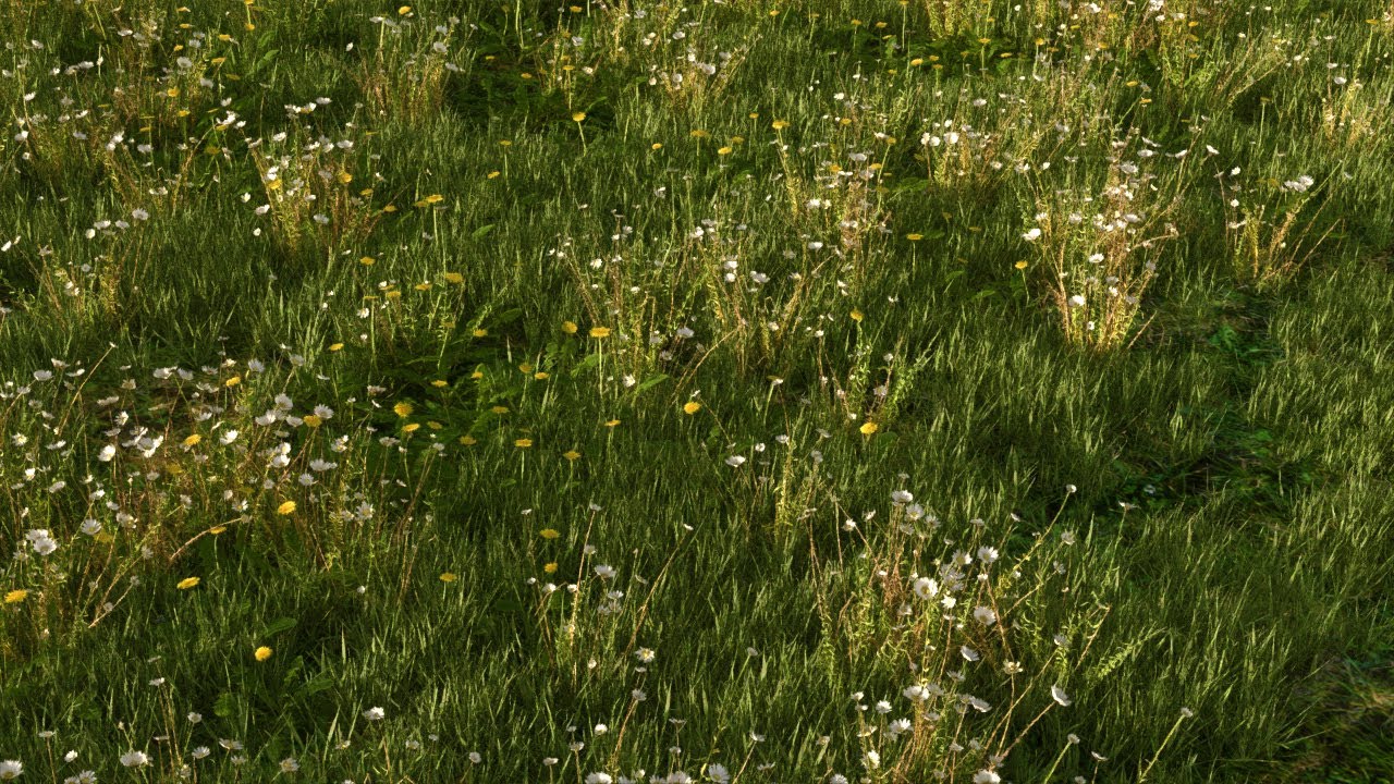 VRay Scatter - Landscape Creation - Rhino 7