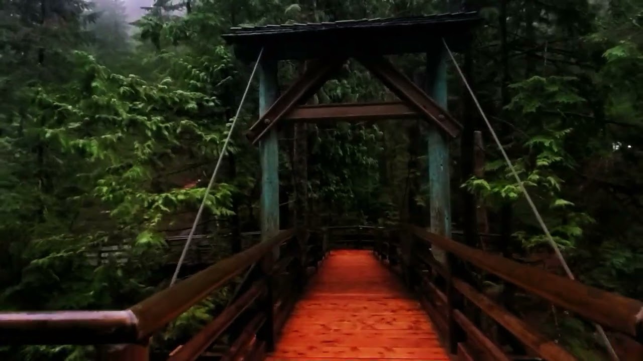 Coho Loop Trail to Capilano Suspension Bridge - Epic Hike in the rain!