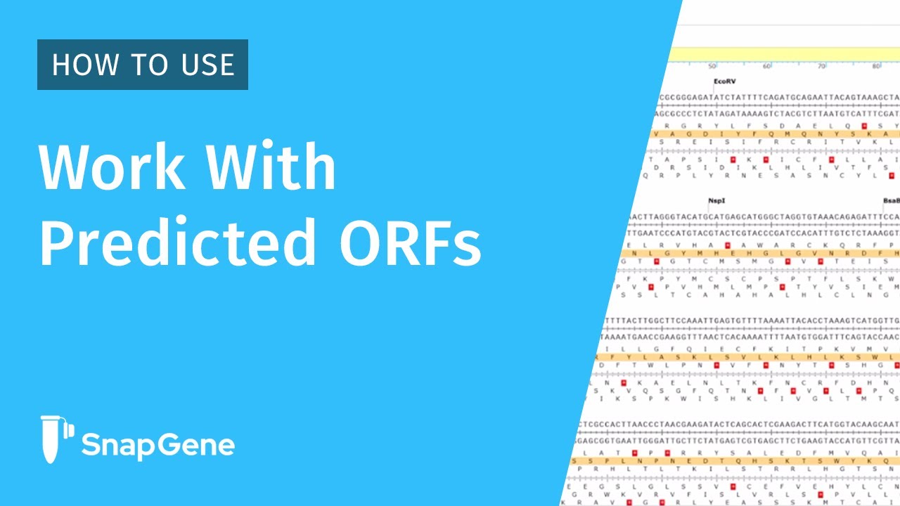 Working with Predicted ORFs